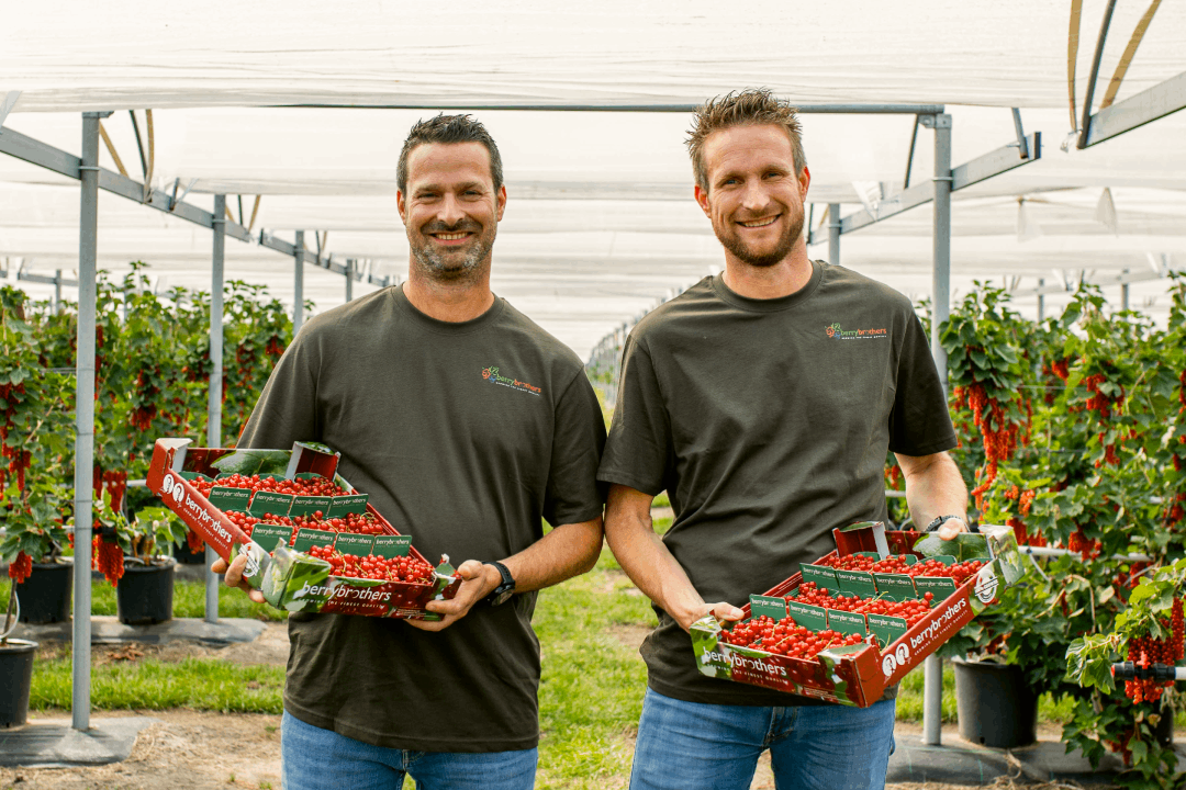 Broers Nijs en Gerco telen zachtfruit met aandacht